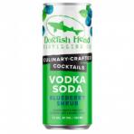0 Dogfish Head - Blueberry Shrub Vodka Soda (414)