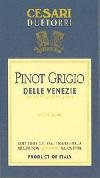 Due Torri - Pinot Grigio (1.5L) (1.5L)