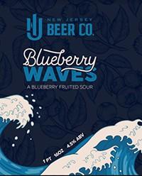 NJ Beer Co - Blueberry Waves (4 pack 16oz cans) (4 pack 16oz cans)